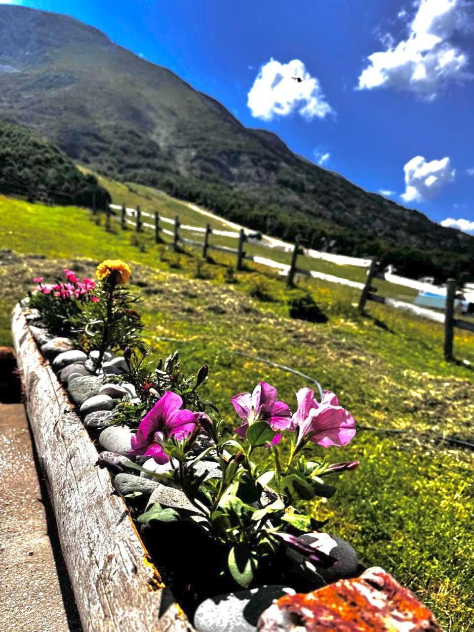 Mountain House Savin Kuk Villa Žabljak Eksteriør billede