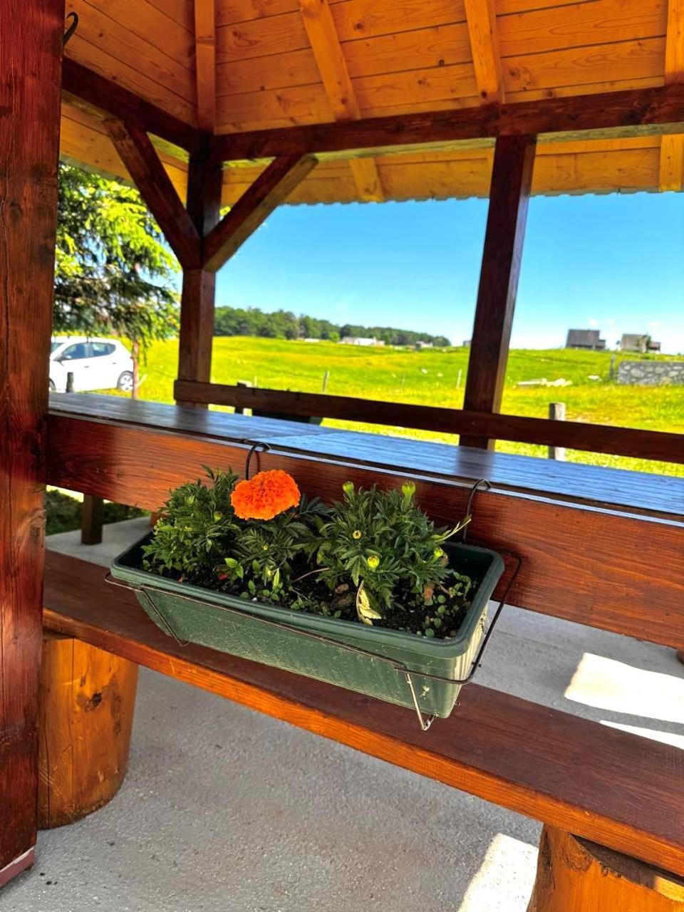 Mountain House Savin Kuk Villa Žabljak Eksteriør billede